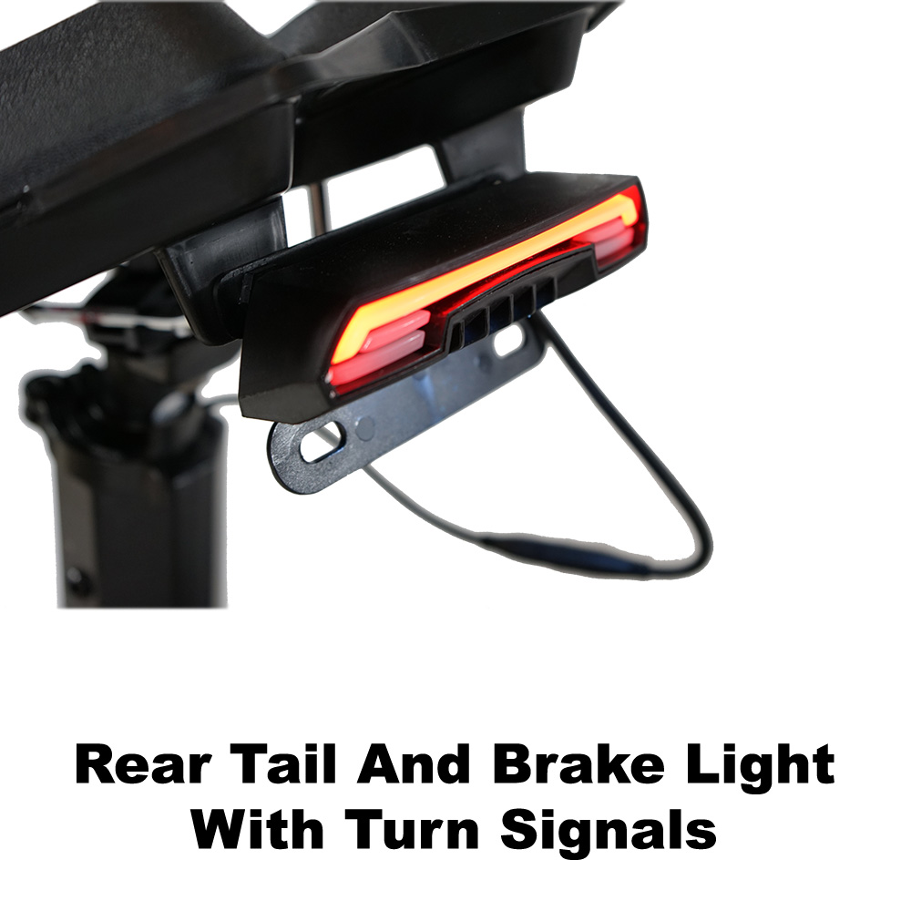 Rear tail and brake light with turn signals